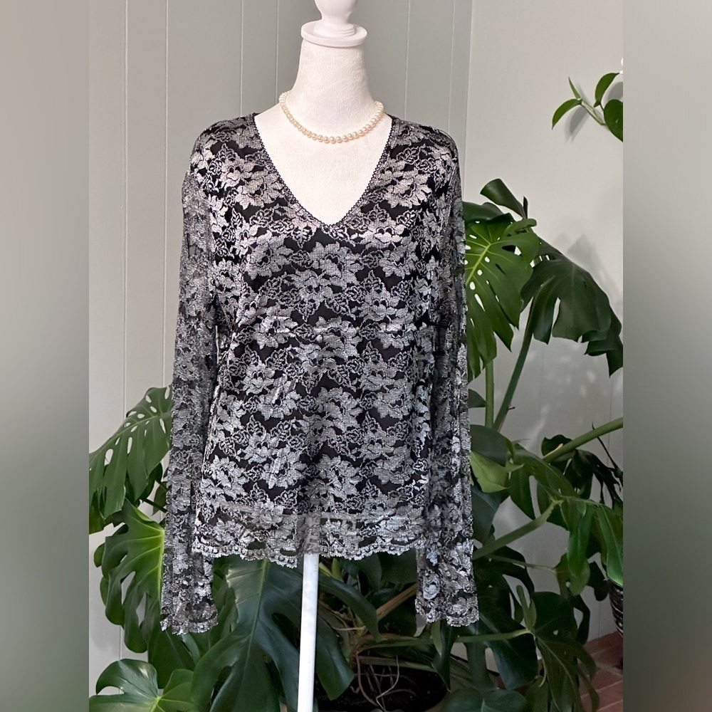 🛍️Kathy Ireland Stretch sheer and lining beautiful top with excellent condition